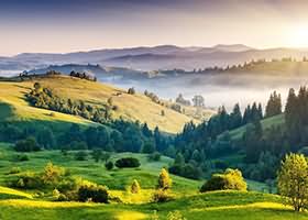 绿茵传奇再续:法兰克福以雷霆之势席卷而上,积分榜上的华丽跃升