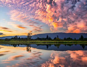 福建男篮客场失利,积分榜上遭遇滑坡