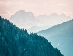 乌克兰主场奏凯,欧洲杯征程扬帆起航!