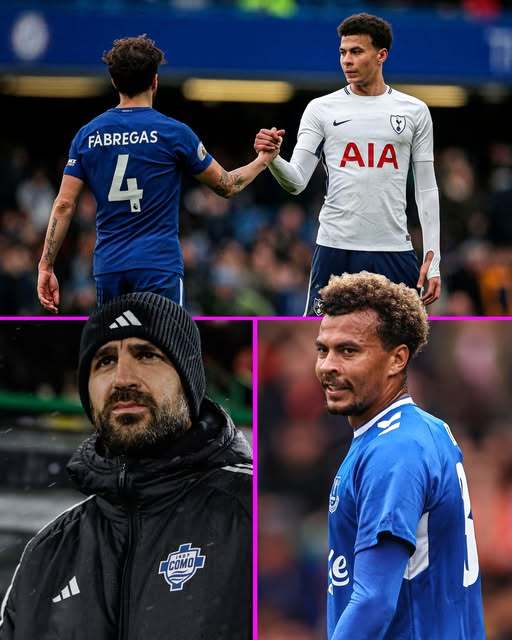 爱游戏在线登录-阿里离队热刺？球队能否继续保持稳定？的简单介绍